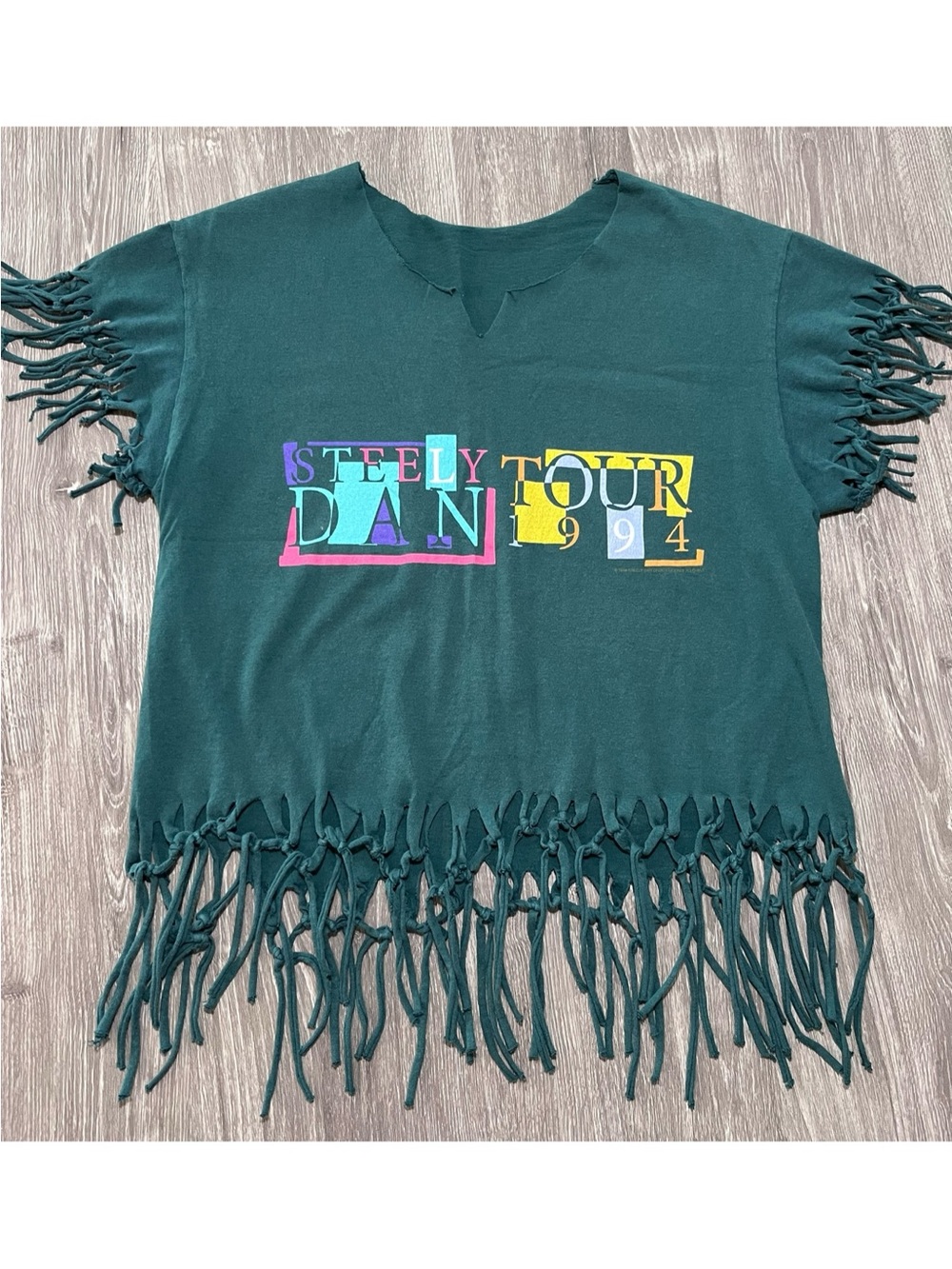Vintage 1994 Steely Dan Tour Band Fringe T-Shirt